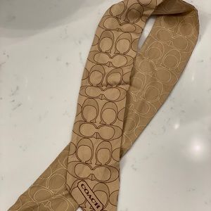Silk Coach skinny ponytail scarf